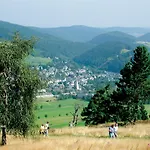 Apartment Alte Foersterei - Luxus-fewo Jaegerheim Mit Pool & Sauna