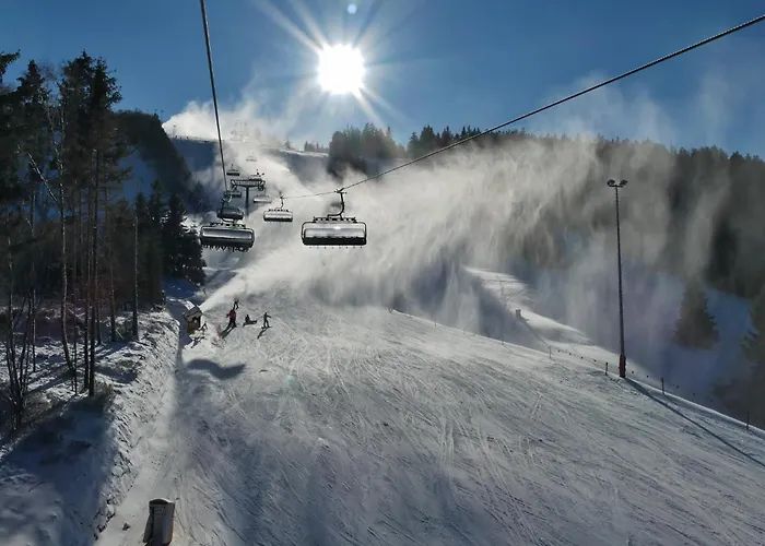 Alte Foersterei - Luxus-fewo Jaegerheim Mit Pool & Sauna